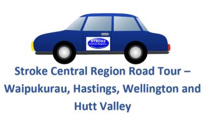 Meet your Local Stroke Support Team – November 2020